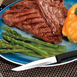 Rada Cutlery Utility Steak Knives Gift Set – Stainless Steel Knife Made in the USA, Set of 6