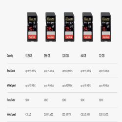 SanDisk Extreme Pro 64GB SDXC UHS-I Memory Card (SDSDXXG-064G-GN4IN)