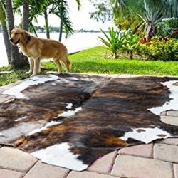 Rodeo Amazing Cowhide Skin Rug Tricolor Brown Large Size