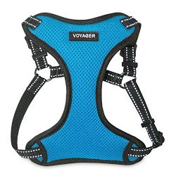 Best Pet Supplies Voyager - Fully Adjustable Step-In Mesh Harness with Reflective 3M Piping (Turquoise, Large)