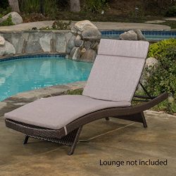 Christopher Knight Home 609 Salem Chaise Outdoor Lounge (Set of 2)