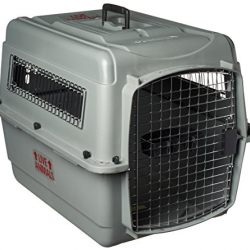 Petmate Sky Kennel for Pets from 25 to 30-Pound, Light Gray
