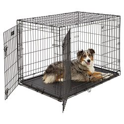 Large Dog Crate | MidWest iCrate Double Door Folding Metal Dog Crate w/Divider Panel, Floor Protecting Feet & Leak-Proof Dog Tray | 42L x 30W x 28H Inches, Large Dog, Black