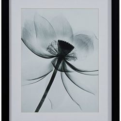 Rivet Matted Flower X-Ray Photograph, Black Frame, 13" x 15"