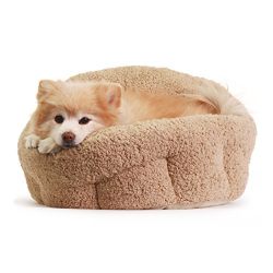 Best Friends by Sheri OrthoComfort Deep Dish Cuddler (20x20x12”) - Self-Warming Cmproved Sleep - Machine Washablat and Dog Bed Cushion for Joint-Relief and Ie, Waterproof Bottom - For Pets Up to 25lbs