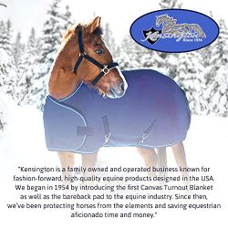 Kensington Horse Fly Boots with Comfortable Fleece Trim — Stay-Up Technology with Velcro Straps — Protection from Insect Bites and UV Rays — Sold in Pairs of 2 (Blue Ice Plaid)