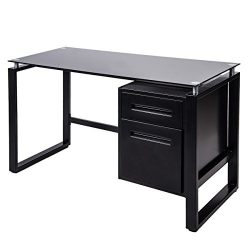 Merax Home Office Computer Desk Table Workstation with Metal Cabinet and Glass Top (Black)