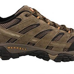 Merrell Men's Moab 2 Vent Hiking Shoe, Walnut, 9.5 M US