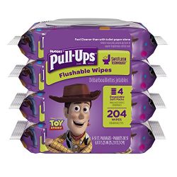 PULL-UPS Big Kid Flushable Wipes, Pouch, 204 Count