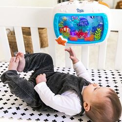 Baby Einstein Sea Dreams Soother
