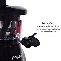 Tribest Slowstar Vertical Slow Juicer and Mincer SW-2020, Cold Press Masticating Juice Extractor in Silver and Black