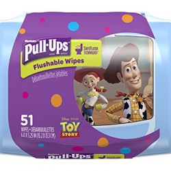 Pull-Ups Big Kid Flushable Wipes with OneTouch Dispensing Container, 51 Count