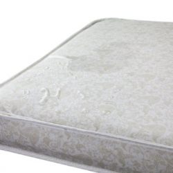 Dream On Me Foam Pack and Play Mattress