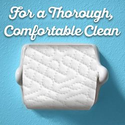 Quilted Northern  Ultra Soft & Strong Toilet Paper, Pack of 12 Double Rolls, Equivalent to 24 Regular Rolls-Packaging May Vary