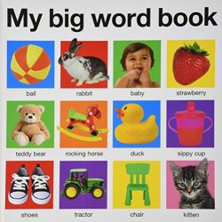 My Big Word Book (casebound) (My Big Board Books)