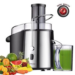 Homeleader Juicer Juice Extractor Wide Mouth Centrifugal Juicer,2 Speed Juicer Machine for Fruits and Vegetable,Stainless Steel,700 Watt