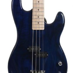 Davison Guitars Full Size Electric Bass Guitar Starter Beginner Pack with Amp Case Strap