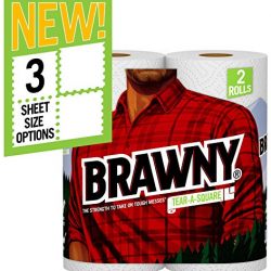Brawny White Tear-a-Square Paper Towel, 2 Count