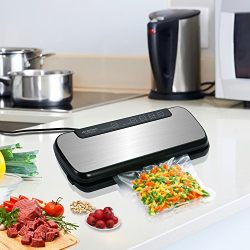 GERYON Vacuum Sealer, 4-in-1 Automatic Food Sealers with Starter Kit of Saver Roll, Bags and Hose for Food Preservation (Stainless Steel)
