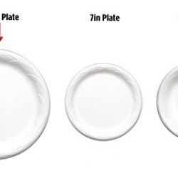 Vanity Fair Impressions Disposable Plates, 10 1/8 Inches, 28 Count, Dinner Size Paper Plates