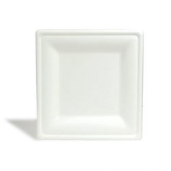 Repurpose 100% Compostable, Tree Free, Plant-Based Plates, Square, 10 inch (125 Count)