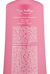 ColorProof Evolved Color Care Crazysmooth Anti Frizz Shampoo, 10.1 Fl Oz
