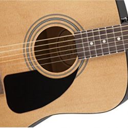 Fender Acoustic Guitar Bundle with Hard Case, Stand, Tuner, Strings, Strap, Picks, Austin Bazaar Instructional DVD, and Polishing Cloth