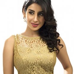 Bollywood Blouses Women's Designer Fine Zari Floral Pattern Net Saree Blouse Gold Large