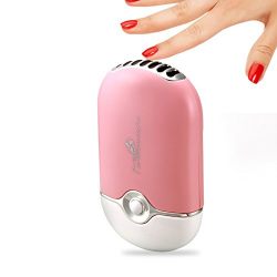 Baisidai USB Mini Fan Air Conditioning Blower for Eyelash Extension (Pink)