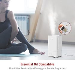 TaoTronics Top Fill Humidifiers, Ultrasonic Cool Mist Essential Oil Diffuser Humidifier, Germ Free, Easy to Clean for Home, Baby Room, Large Room, Waterless Auto Shut Off -(5L/1.32 Gallon, US 110V)