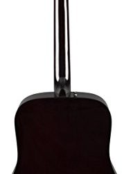 Fender Acoustic Guitar Bundle with Hard Case, Stand, Tuner, Strings, Strap, Picks, Austin Bazaar Instructional DVD, and Polishing Cloth