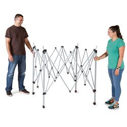 Coleman 10x10 Light & Fast