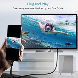 SB Type C to HDMI Cable (Thunderbolt 3 Compatible) for 2018 MacBook Pro/MacBook, Surface Book 2, Samsung Galaxy S9/S8, Huawei Mate 10, Pixelbook