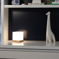 Light Accents Felix Table Lamp Glass Cube Accent Lamp - Glass Shade with Natural Wooden Base
