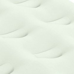 Coleman Airbed Skinny Single High Air Mattress W/ Built in Storage, Supports up to 300 lbs, Twin,