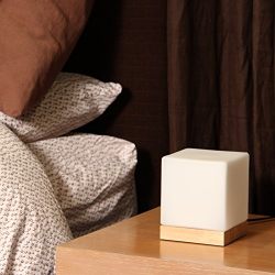 Light Accents Felix Table Lamp Glass Cube Accent Lamp - Glass Shade with Natural Wooden Base