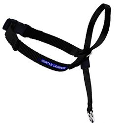 Gentle Leader Head Collar with Training DVD