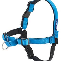 PetSafe Deluxe Easy Walk Harness, Medium/Large, Ocean Blue