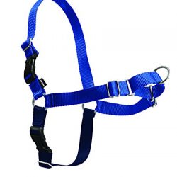 PetSafe Easy Walk Harness, Medium, ROYAL BLUE/NAVY BLUE for Dogs