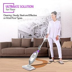 Steam Mop - Steam Cleaner Multifunctional Steamer, Worked as Floor Steam Cleaner Handheld Garment Steamer Carpet Cleaner Window Cleaner 5-In-1 Electric Floor Mop with 1 Mop Pad 11.5Oz Tank, 20FT Cord