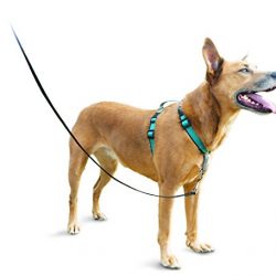 PetSafe 3in1 Harness, from the Makers of the Easy Walk Harness, Fully Adjustable No-Pull Dog Harness