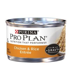 Purina Pro Plan Chicken & Rice Entree in Gravy Adult Wet Food