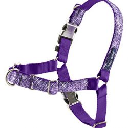 PetSafe Bling Easy Walk Harness, Medium, Purple