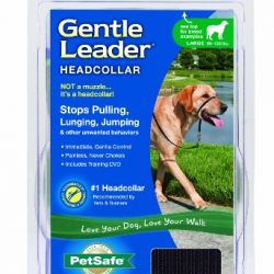 Gentle Leader Head Collar with Training DVD