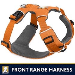 Front Range No-Pull Dog Harness with Front Clip
