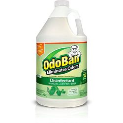 Disinfectant Odor Eliminator All Purpose Cleaner