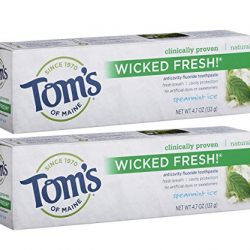 Tom's of Maine Ice Wicked Fresh Paste, Spearmint, 4.7 Ounce, Pack of 2