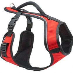 Adjustable Padded Dog Harness with Control Handle