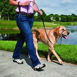 Gentle Leader Head Collar with Training DVD