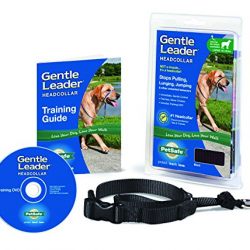 Gentle Leader Head Collar with Training DVD